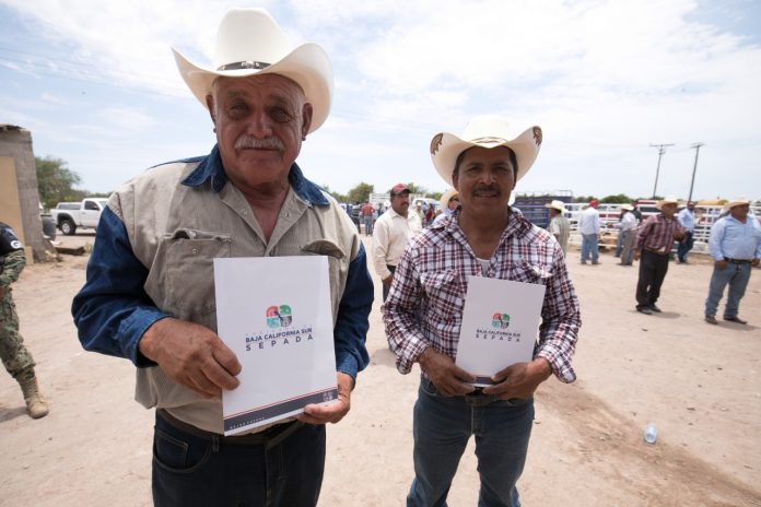 principal cmd_seguro